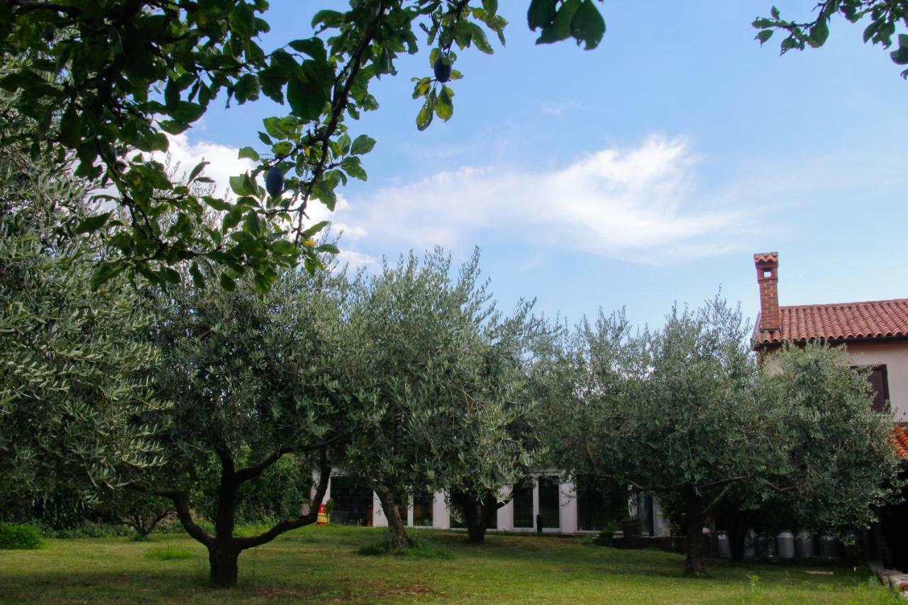 Tourist Farm With Apartments Fig Tree Dekani Exterior photo