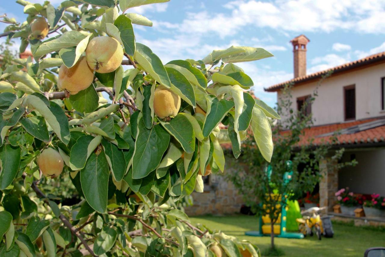 Tourist Farm With Apartments Fig Tree Dekani Exterior photo
